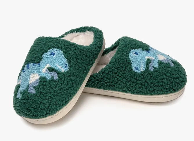 Kids Slipper -Dino -Little Kids